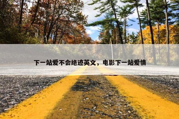 下一站爱不会绝迹英文，电影下一站爱情
