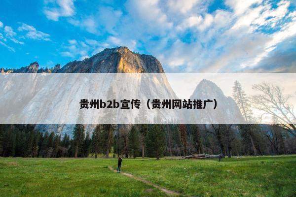 贵州b2b宣传（贵州网站推广）