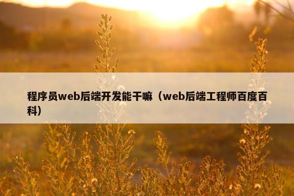 程序员web后端开发能干嘛（web后端工程师百度百科）