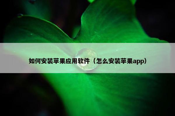 如何安装苹果应用软件（怎么安装苹果app）