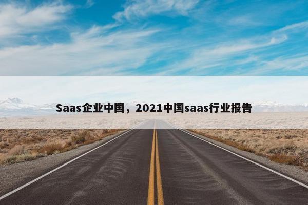 Saas企业中国，2021中国saas行业报告