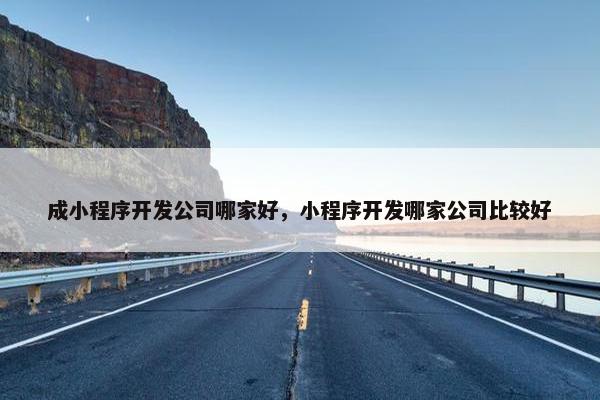 成小程序开发公司哪家好，小程序开发哪家公司比较好