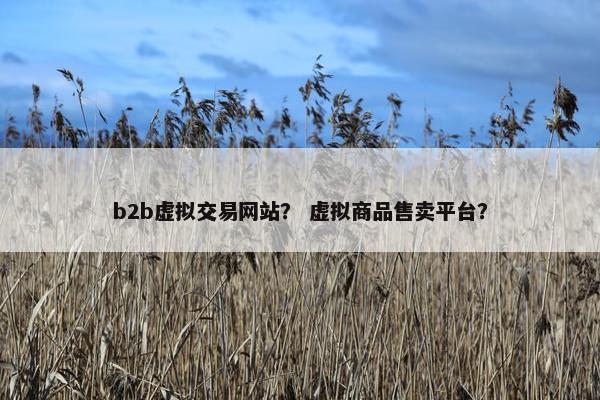 b2b虚拟交易网站？ 虚拟商品售卖平台？