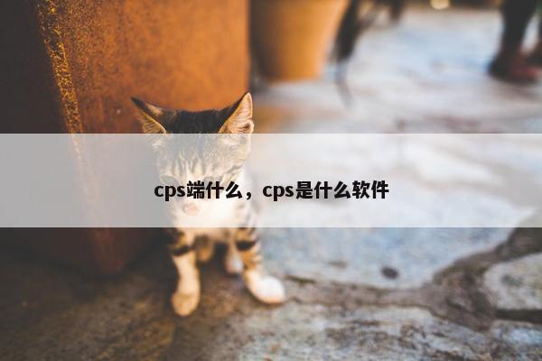 cps端什么，cps是什么软件