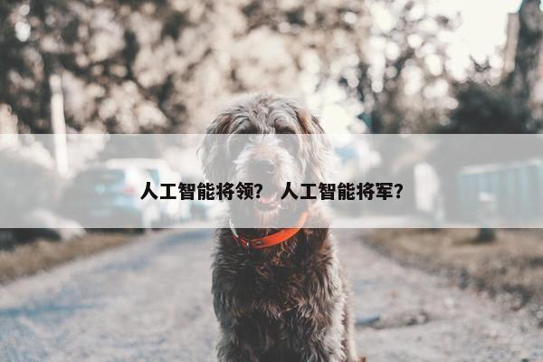 人工智能将领？ 人工智能将军？