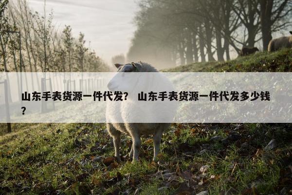 山东手表货源一件代发？ 山东手表货源一件代发多少钱？