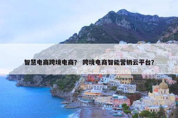 智慧电商跨境电商？ 跨境电商智能营销云平台？