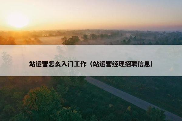 站运营怎么入门工作（站运营经理招聘信息）