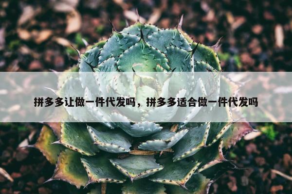 拼多多让做一件代发吗，拼多多适合做一件代发吗