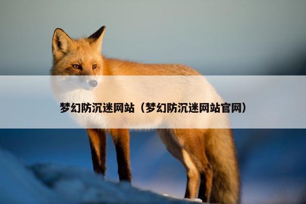 梦幻防沉迷网站（梦幻防沉迷网站官网）