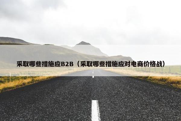 采取哪些措施应B2B（采取哪些措施应对电商价格战）