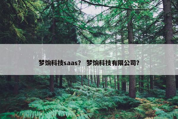 梦饷科技saas？ 梦饷科技有限公司？