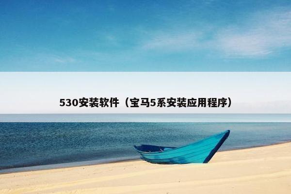 530安装软件（宝马5系安装应用程序）