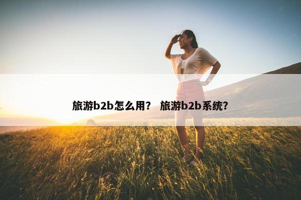 旅游b2b怎么用？ 旅游b2b系统？