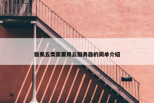 做黑五类需要用云服务器的简单介绍