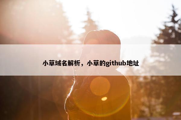 小草域名解析，小草的github地址