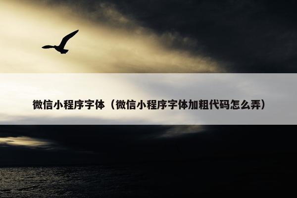 微信小程序字体（微信小程序字体加粗代码怎么弄）