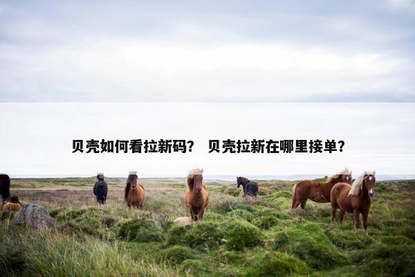 贝壳如何看拉新码？ 贝壳拉新在哪里接单？