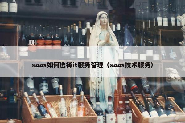 saas如何选择it服务管理（saas技术服务）