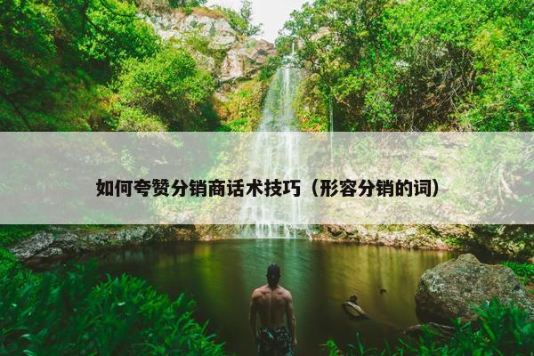 如何夸赞分销商话术技巧（形容分销的词）