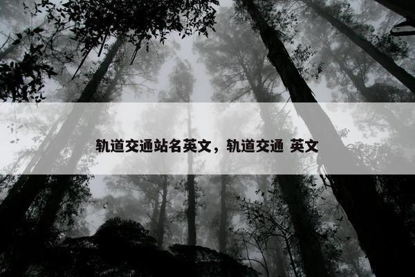 轨道交通站名英文，轨道交通 英文