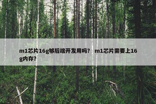 m1芯片16g够后端开发用吗？ m1芯片需要上16g内存？