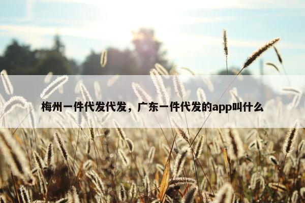 梅州一件代发代发，广东一件代发的app叫什么