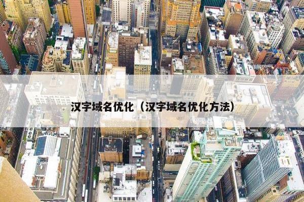 汉字域名优化（汉字域名优化方法）