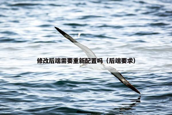修改后端需要重新配置吗（后端要求）