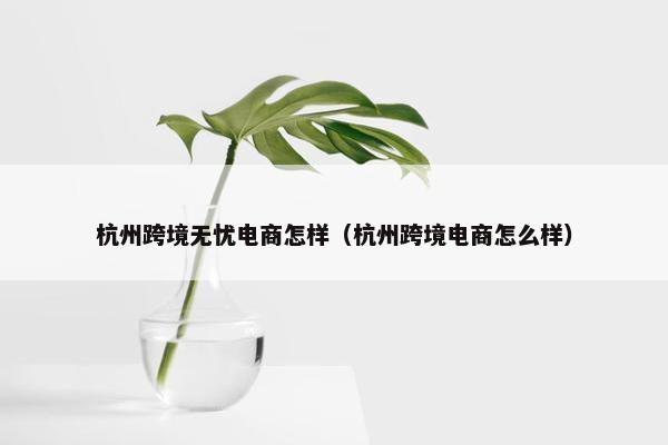 杭州跨境无忧电商怎样（杭州跨境电商怎么样）