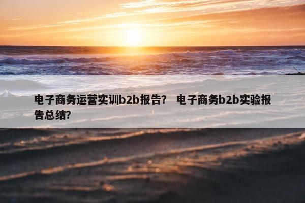 电子商务运营实训b2b报告？ 电子商务b2b实验报告总结？