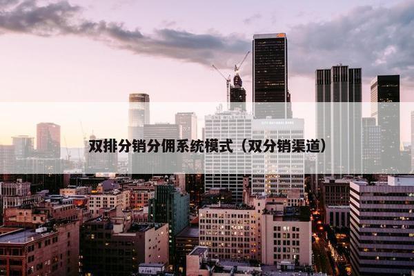 双排分销分佣系统模式（双分销渠道）