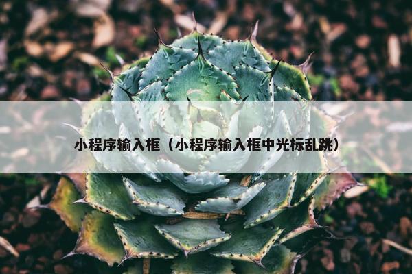 小程序输入框（小程序输入框中光标乱跳）