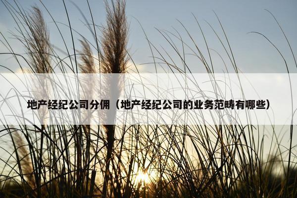 地产经纪公司分佣（地产经纪公司的业务范畴有哪些）