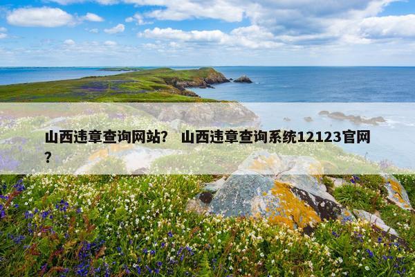 山西违章查询网站？ 山西违章查询系统12123官网？