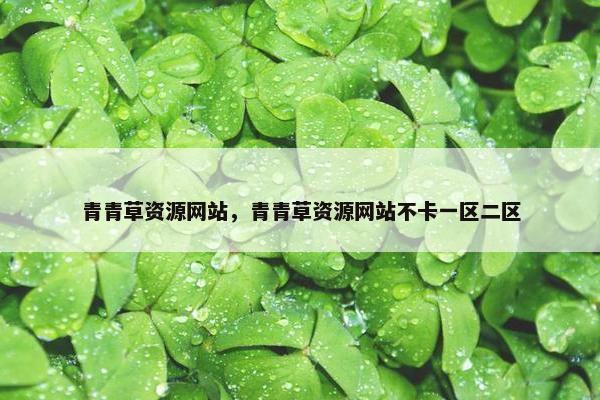 青青草资源网站，青青草资源网站不卡一区二区