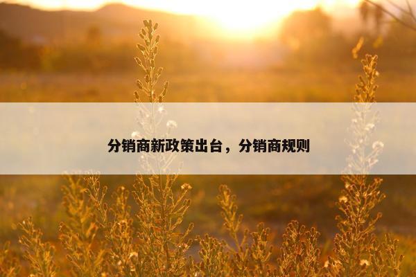 分销商新政策出台，分销商规则