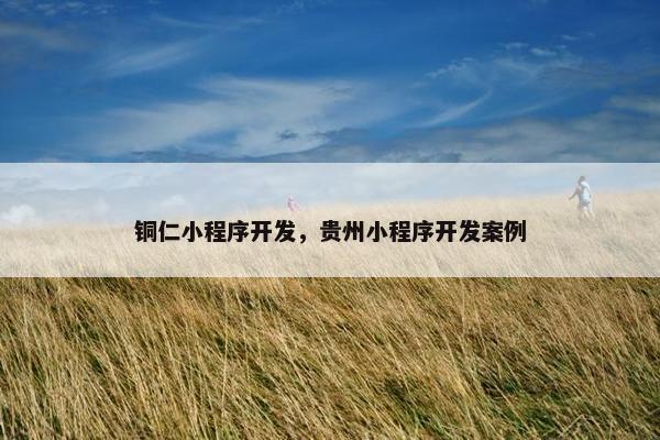 铜仁小程序开发，贵州小程序开发案例