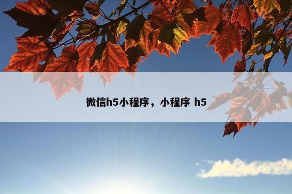 微信h5小程序，小程序 h5