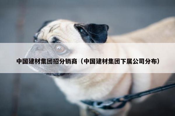 中国建材集团招分销商（中国建材集团下属公司分布）