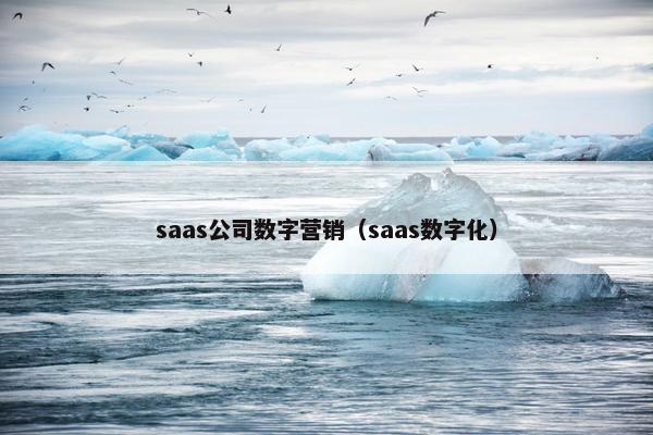 saas公司数字营销（saas数字化）