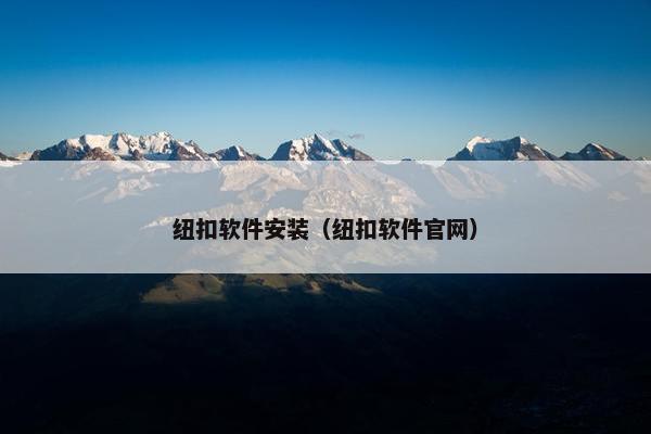 纽扣软件安装（纽扣软件官网）