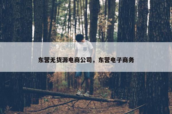 东营无货源电商公司，东营电子商务