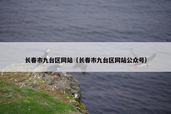 长春市九台区网站（长春市九台区网站公众号）