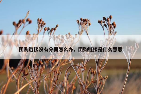 团购链接没有分佣怎么办，团购链接是什么意思