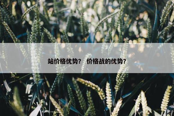 站价格优势？ 价格战的优势？
