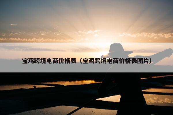 宝鸡跨境电商价格表（宝鸡跨境电商价格表图片）