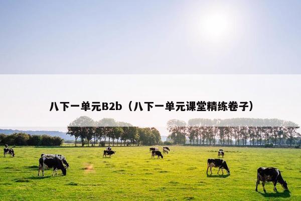 八下一单元B2b（八下一单元课堂精练卷子）