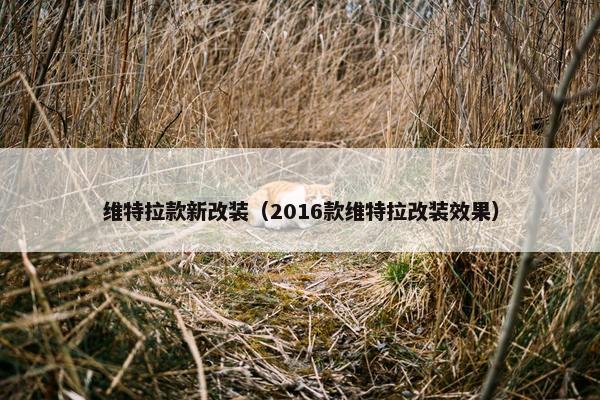 维特拉款新改装（2016款维特拉改装效果）