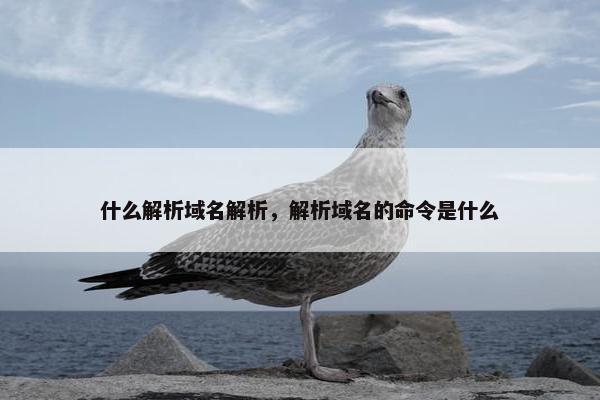 什么解析域名解析，解析域名的命令是什么